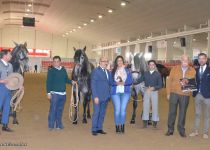 W GANADERIA CON MAS EJEMPLARES EN CONCURSO, HACIENDA DE LA ROSA